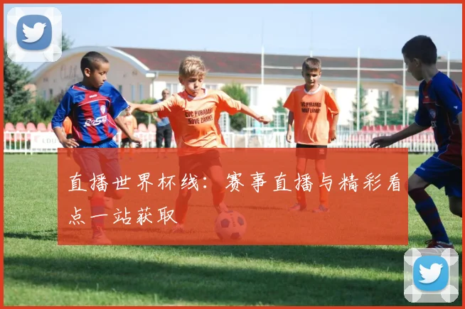 直播世界杯线：赛事直播与精彩看点一站获取