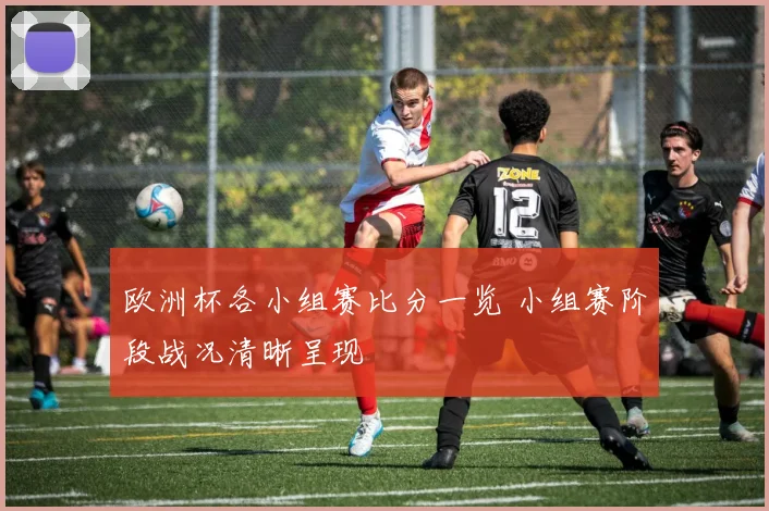 欧洲杯各小组赛比分一览 小组赛阶段战况清晰呈现