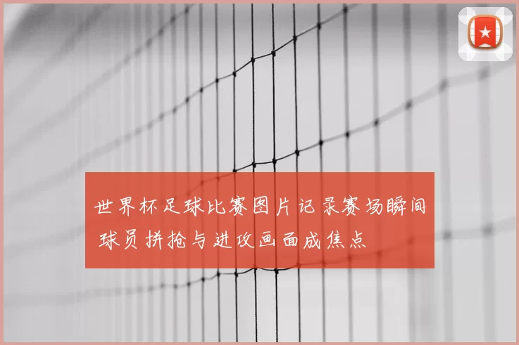 世界杯足球比赛图片记录赛场瞬间 球员拼抢与进攻画面成焦点
